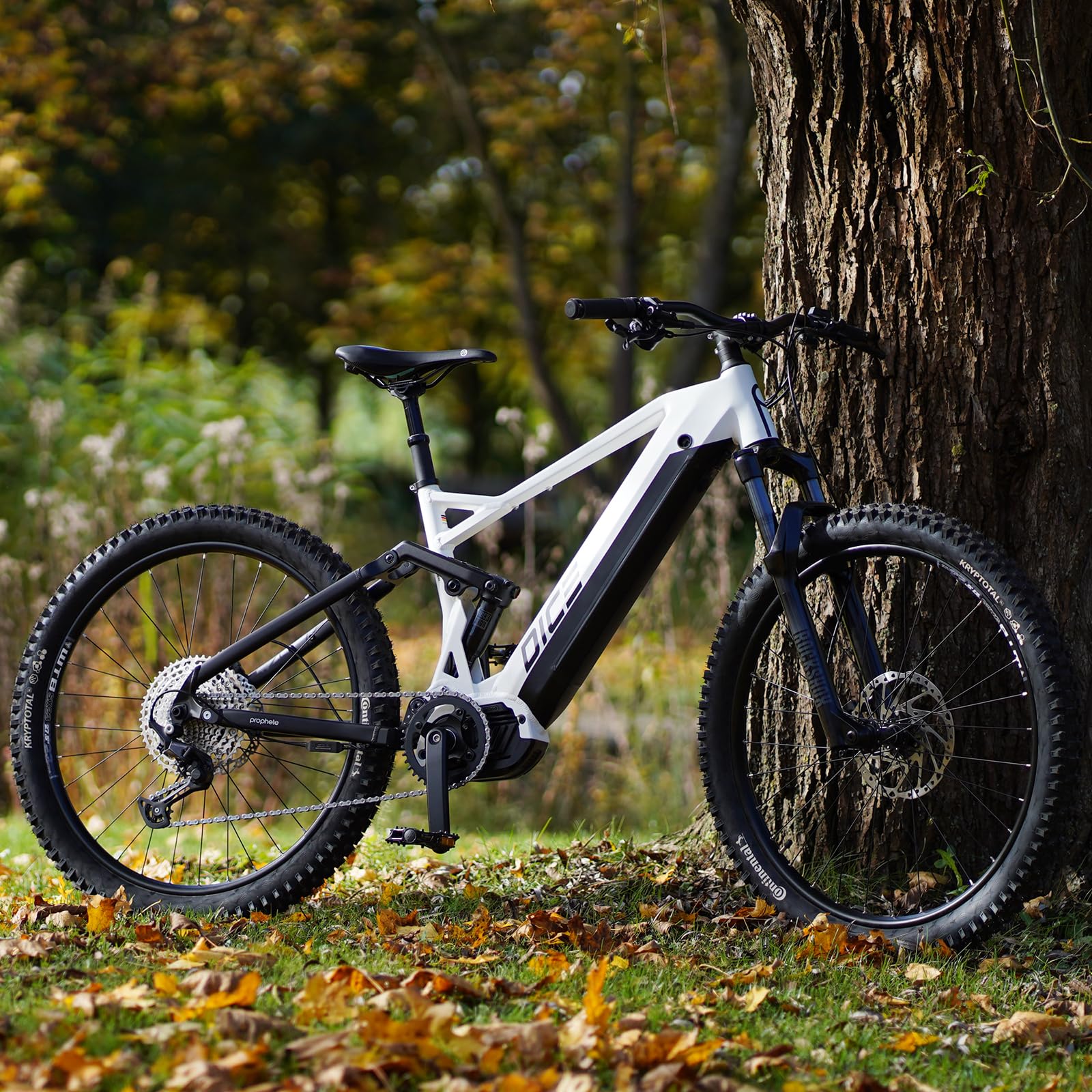 Prophete Dice 5.0 E-MTB E-Bike Fully 27,5 Zoll - 720Wh - Integrierter Akku - Mittelmotor AEG - 12-Gang Kettenschaltung - HDY. Scheibenbremse - Rahmenhöhe 48 cm - Image 6