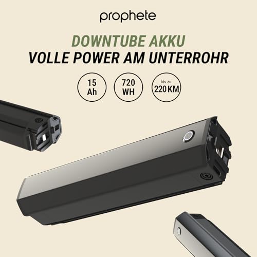 Prophete Dice 5.0 E-MTB E-Bike Fully 27,5 Zoll - 720Wh - Integrierter Akku - Mittelmotor AEG - 12-Gang Kettenschaltung - HDY. Scheibenbremse - Rahmenhöhe 48 cm - Image 9