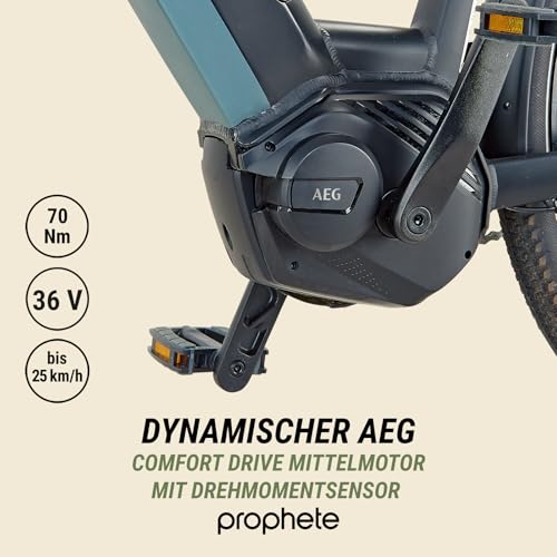 Prophete Geniesser 4.0 City E-Bike 28 Zoll - 540Wh - Integrierter Akku - Mittelmotor AEG - 7-Gang Nabenschaltung - HDY. Scheibenbremse - Rahmenhöhe 48 cm - Image 7