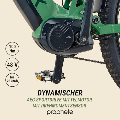 Prophete Stack 5.0 SUV E-Bike Fully 29 Zoll - 720 Wh - Integrierter Akku - Mittelmotor AEG - 10-Gang Kettenschaltung - HDY. Scheibenbremse inkl. Gearsensor - Rahemnhöhe 48 cm - Image 9