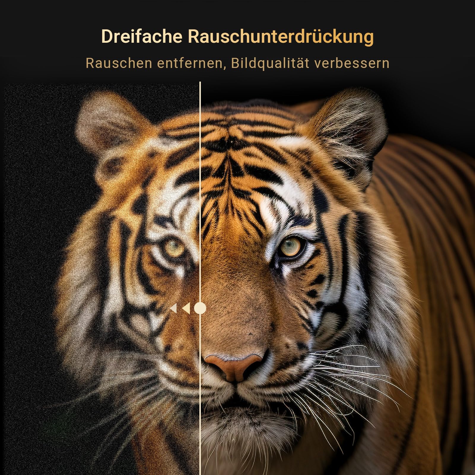 RCA E32 Fernseher 32 Zoll TV 81 cm HD Fernseher Rahmenlos Triple Tuner (DVB-T/T2-C-S/S2) CI/CI+ HDMI USB Dolby Audio Hotelmodus [Energieklasse F] - Image 6