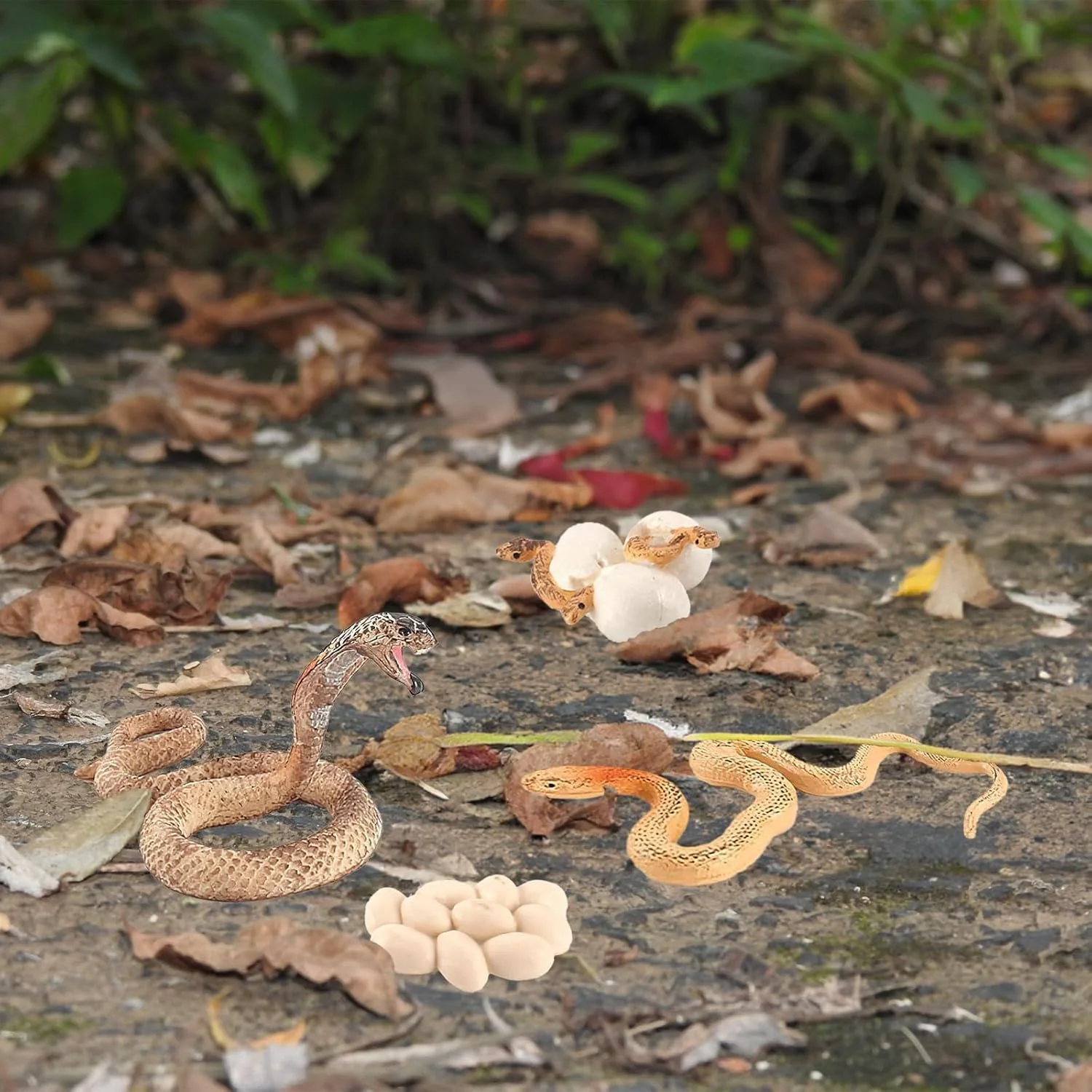 Rismise Schlange Wachstumszyklus Cobra Wachstumszyklus Modell Figuren Spielzeug Mini Cobra Schlange Figur Schlange Lebenszyklus Figur Lernspielzeug Schlange Tier Trick Reptil Halloween Prank Requisite - Image 2