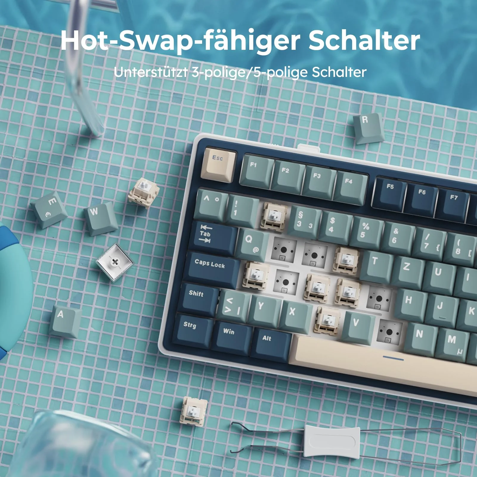 RK ROYAL KLUDGE R75 Mechanische Tastatur Kabellos 75%, Gasket Gaming Tastatur 75 Prozent TKL mit Knopf QWERTZ RGB Bluetooth/2.4G/USB-C PBT Tastenkappen QMK/VIA, Hot Swap Linearer Creamy Switches - Image 3