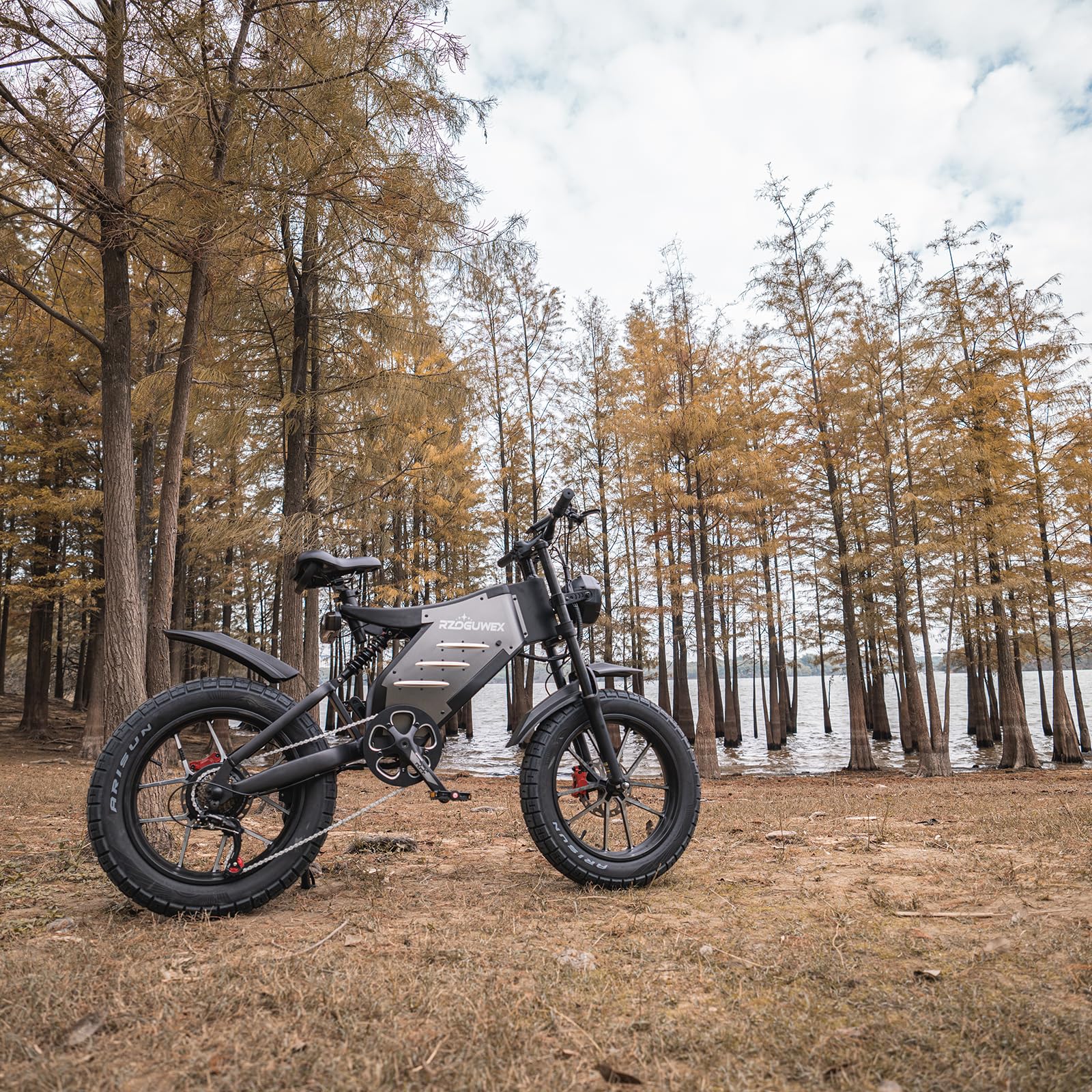 RZOGUWEX Elektrofahrrad, 20-Zoll-Offroad-EBIKE für Erwachsene mit abnehmbarem 48-V-25-Ah-Lithium-Ionen-Akku, doppelter hydraulischer Scheibenbremse mit geschmiedetem Mags-Rad - Image 3