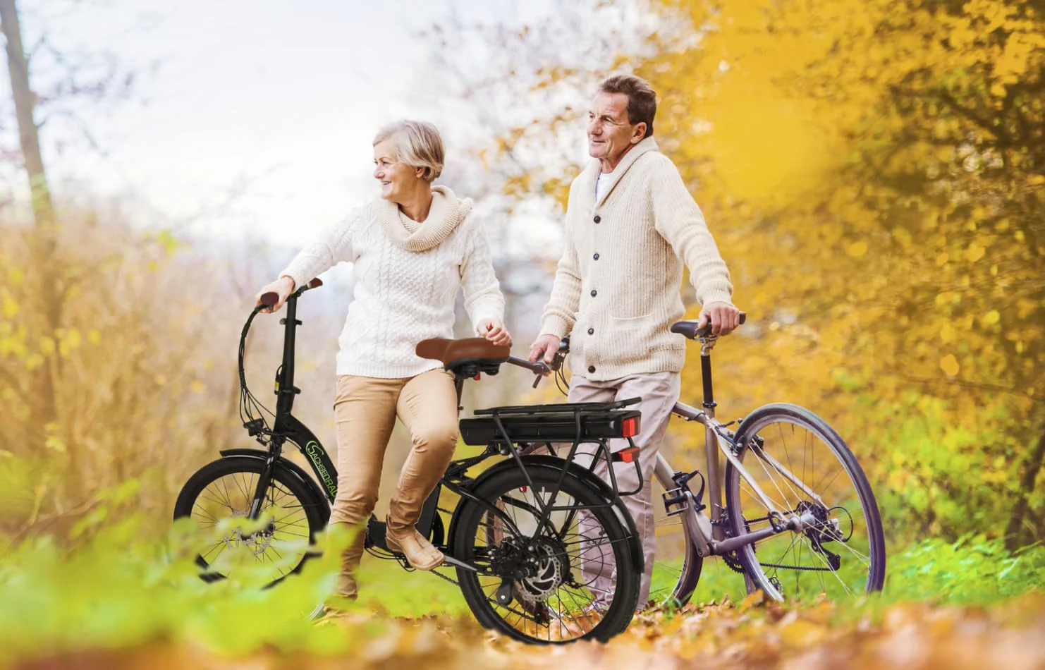 SachsenRAD E-Folding Bike F2 Farmers 20 Zoll elektrisches Fahrrad Faltbar, 470 Wh Akku bis 130 km Distanz,Damen Herren Elektrofahrrad Ebike mit StVZO-Zulassung - Image 5