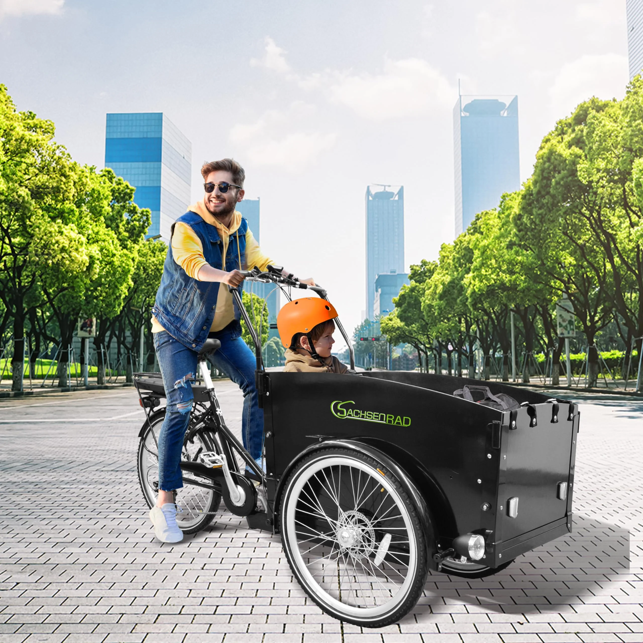 SachsenRAD E-Lastenrad T1 250W 36V|Flexible Transportbox mit Versteckter,Abschließbarer Box mit LCD Display und StVZO-zugelassene LED-Leuchten für Kindertransport,Langlebiger LG-Zelle,schwarz - Image 5