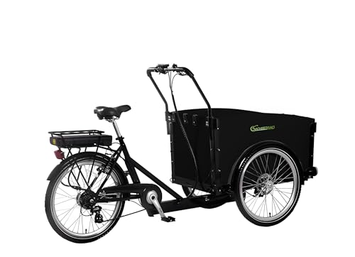 SachsenRAD E-Lastenrad T1 250W 36V|Flexible Transportbox mit Versteckter,Abschließbarer Box mit LCD Display und StVZO-zugelassene LED-Leuchten für Kindertransport,Langlebiger LG-Zelle,schwarz - Image 7