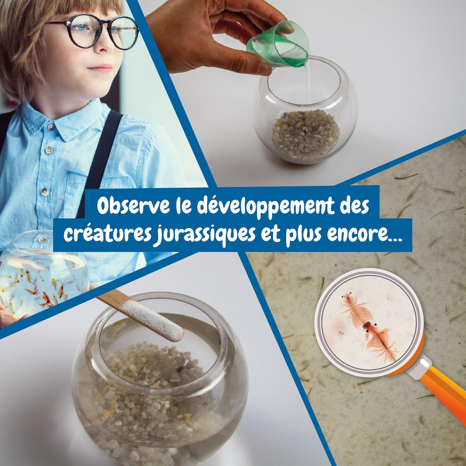 Science4you Urzeitkrebse Züchten Set für Kinder 6+ - Erstellen Sie Ihr Aquatisches Okosystem mit Wasserdrachen im Aquarium Spielzeug - Experimentierkasten mit Artemias, Forscherset fur Kinder ab 6 - Image 5