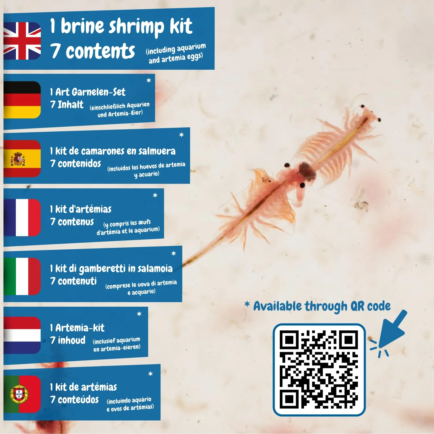 Science4you Urzeitkrebse Züchten Set für Kinder 6+ - Erstellen Sie Ihr Aquatisches Okosystem mit Wasserdrachen im Aquarium Spielzeug - Experimentierkasten mit Artemias, Forscherset fur Kinder ab 6 - Image 9