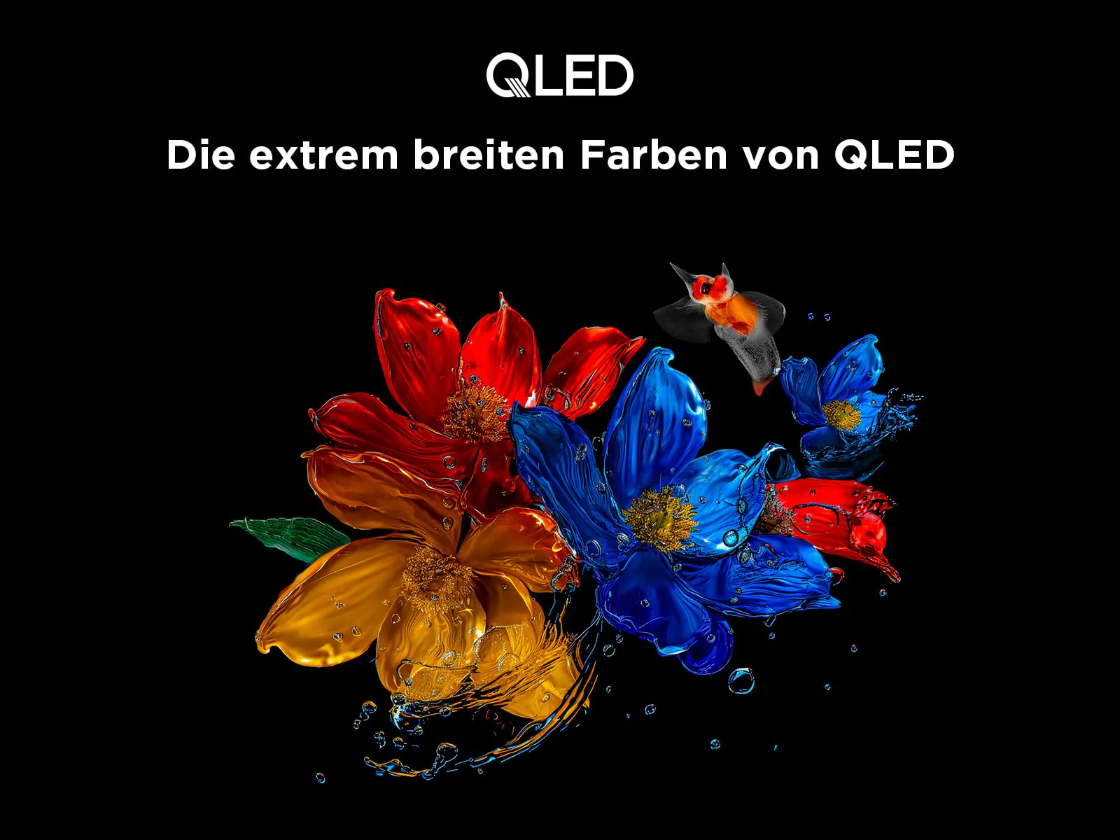 TCL 43T6C 43 Zoll QLED 4K HDR Fernseher, Smart Fire TV mit Dolby Vision & Atmos, HDR10+, Sprachbefehl Funktion & Ask Alexa - Image 3