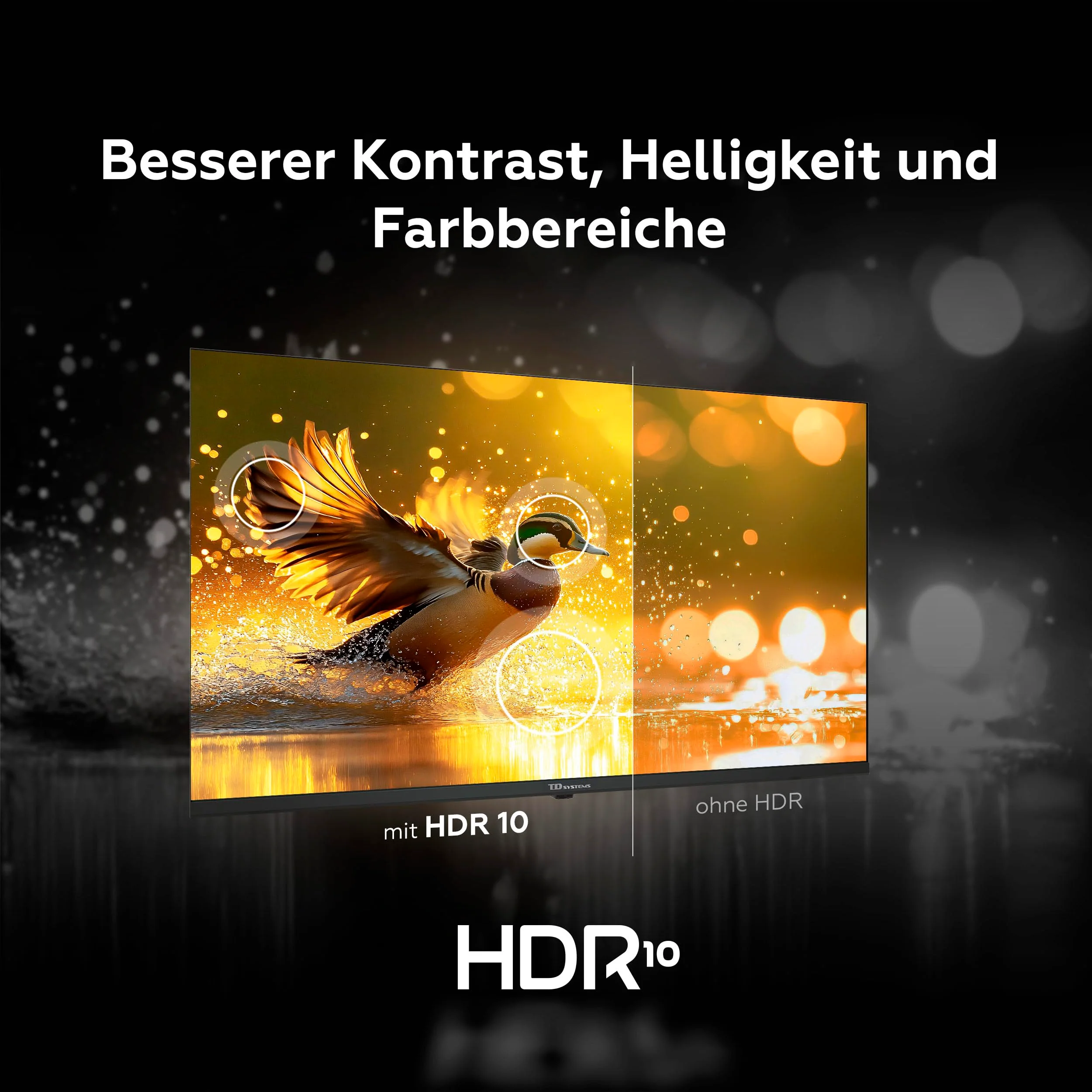 TD Systems - 32 Zoll Smart TV, Google TV, HD DVB-T2/C/S2 Television, Android 11, Modell 2025, Fernseher mit 2 Jahren Garantie - PRIME32C19GLE - Image 5