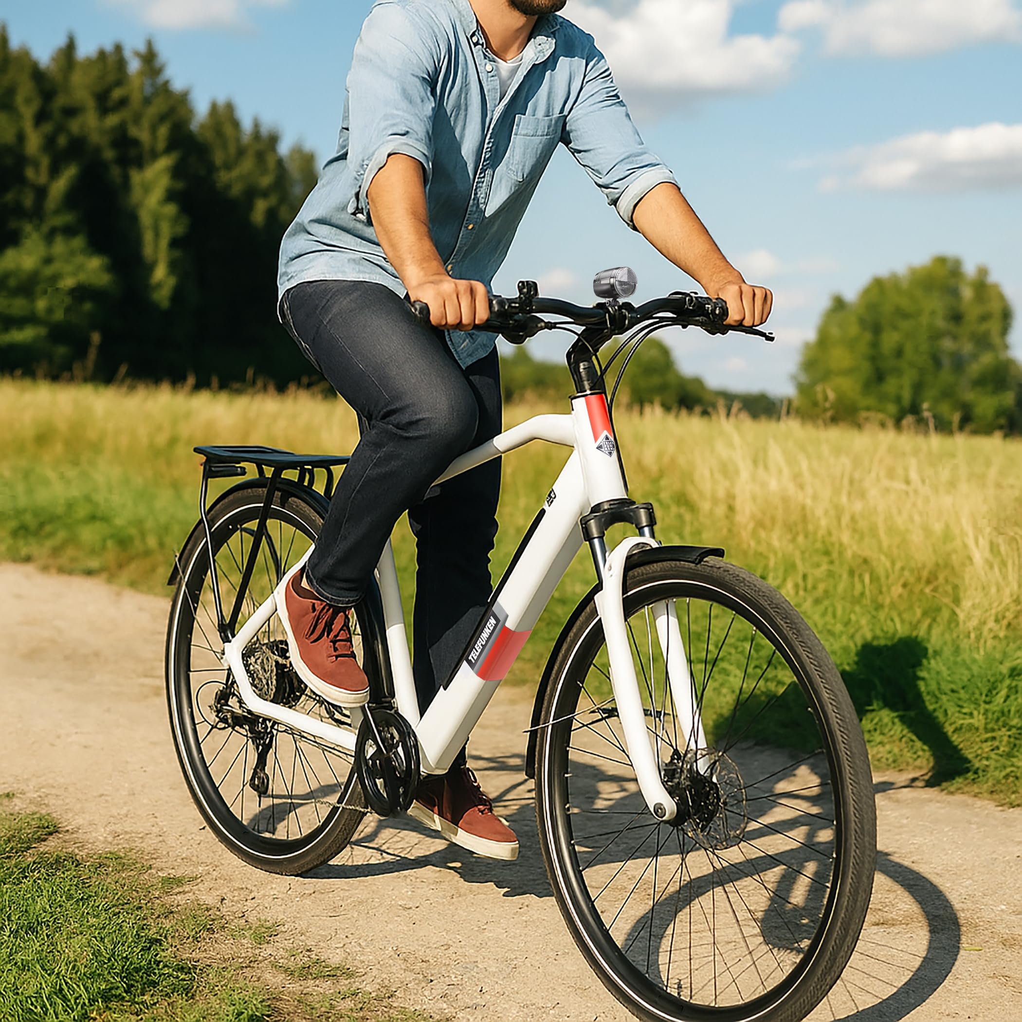 TELEFUNKEN E-Bike 28 Zoll Fahrrad für Herren XT490 | Trekking Pedelec mit 8-Gang Kettenschaltung & Scheibenbremsen | Elektrofahrrad mit 250 W Heckmotor & integriertem 417,6 Wh Li-Ion-Akku | Kreide - Image 8