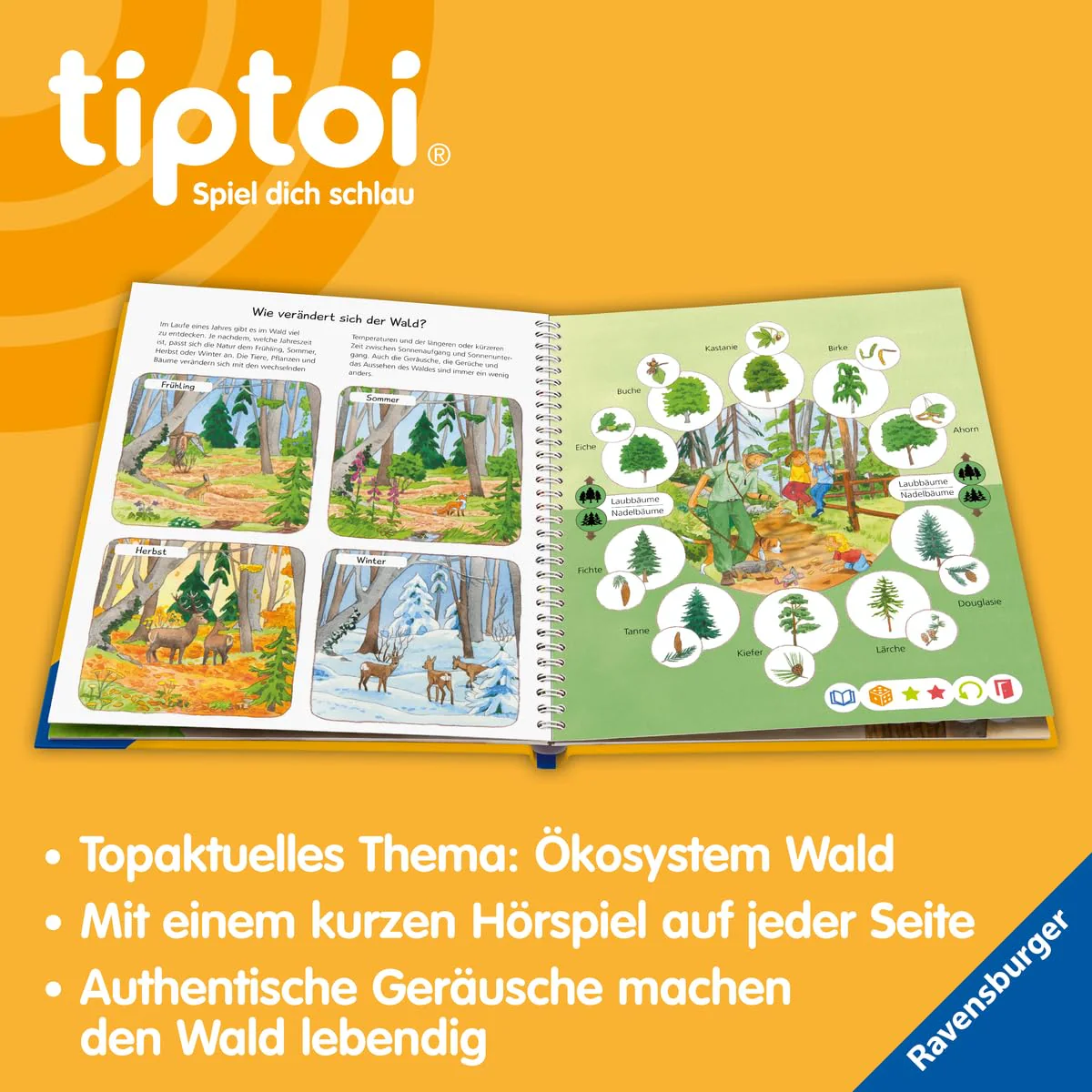 tiptoi® Wieso? Weshalb? Warum? Unser Wald, Buch für Kinder ab 4 Jahre - Image 6
