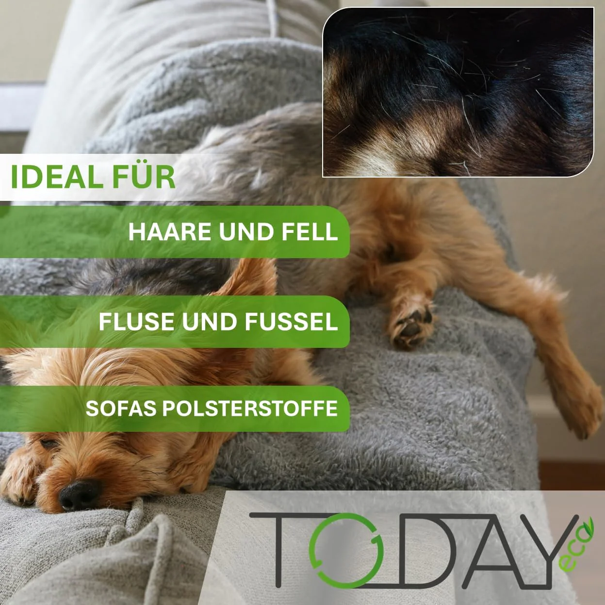 Today - Samt-Fusselbürste - Entfernt sanft Fusseln, Flusen und Haare - Drehbarer Kopf - Für Kleidung, Mäntel und Teppiche - Image 3